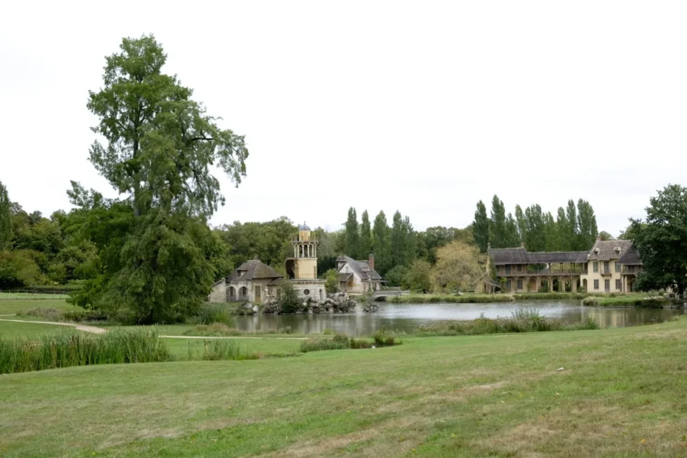 cypres-chauve-arbres-chateau-de-versailles_2